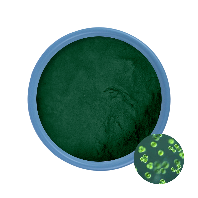 Polvo de verduras 