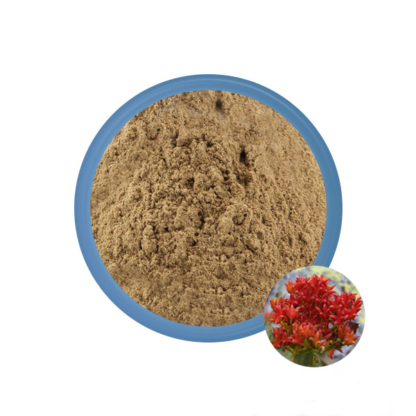 Extracto de Rhodiola rosea